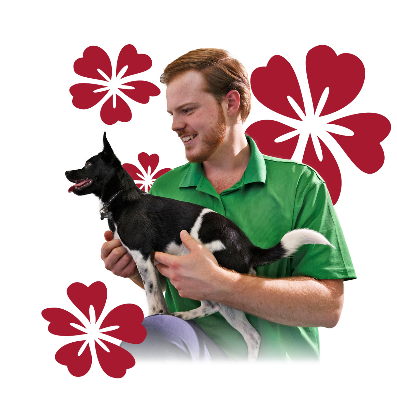 About Us Beau's Pet Hotel