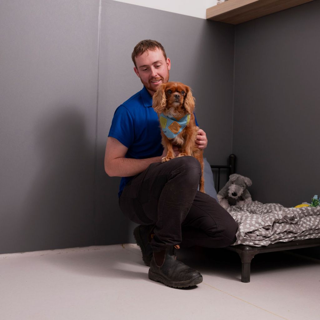 Boarding Beau's Pet Hotel