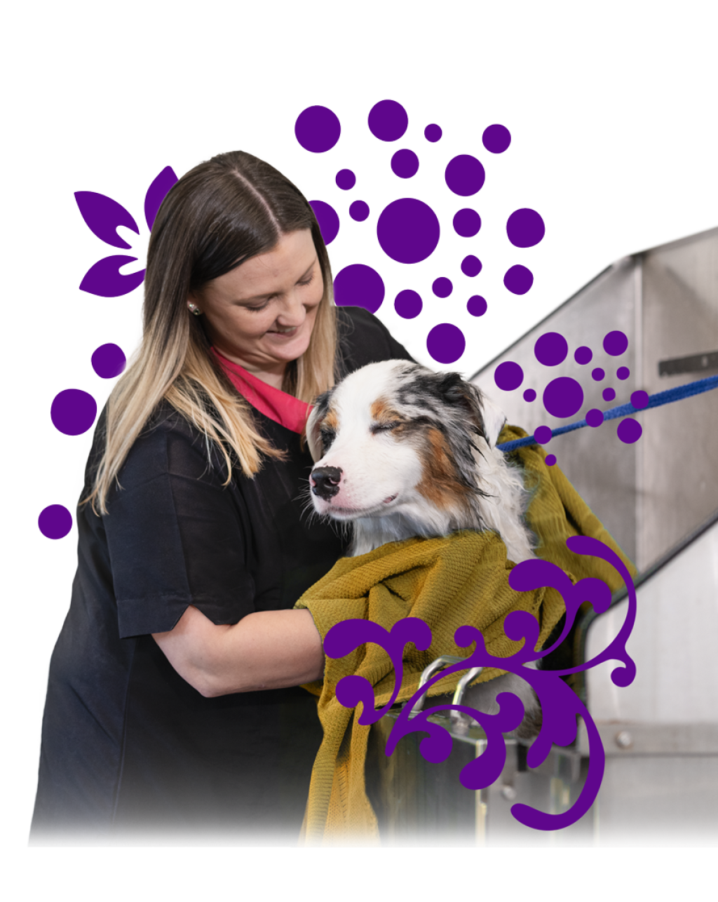 Grooming Beau's Pet Hotel