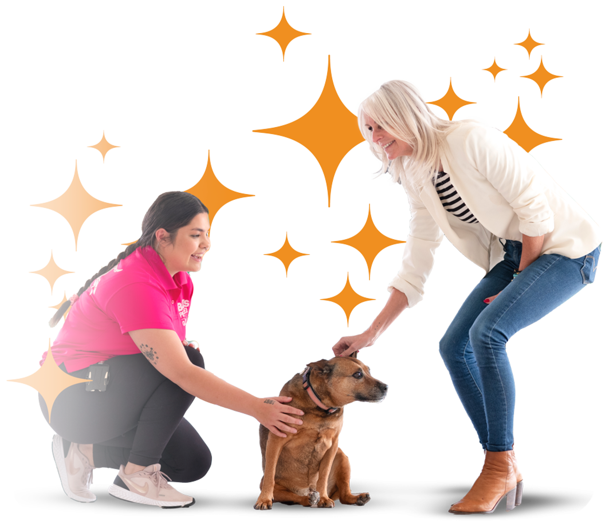 Guide Dogs SA/NT Beau's Pet Hotel