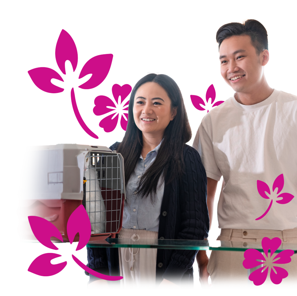 Partnerships Beau's Pet Hotel