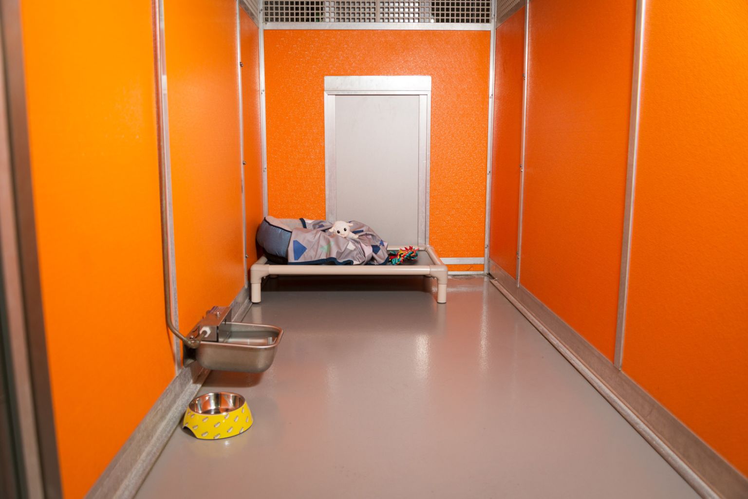 Classic Suite Beau's Pet Hotel