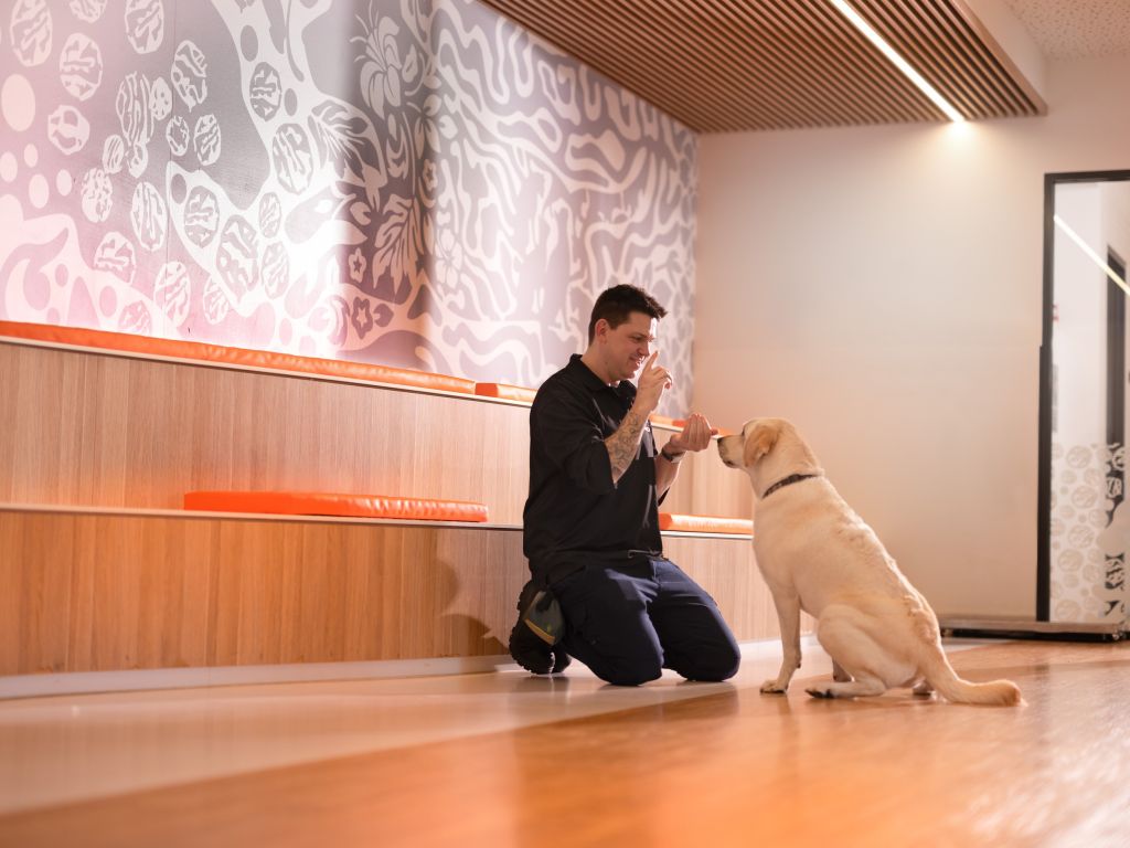 About Us Beau's Pet Hotel