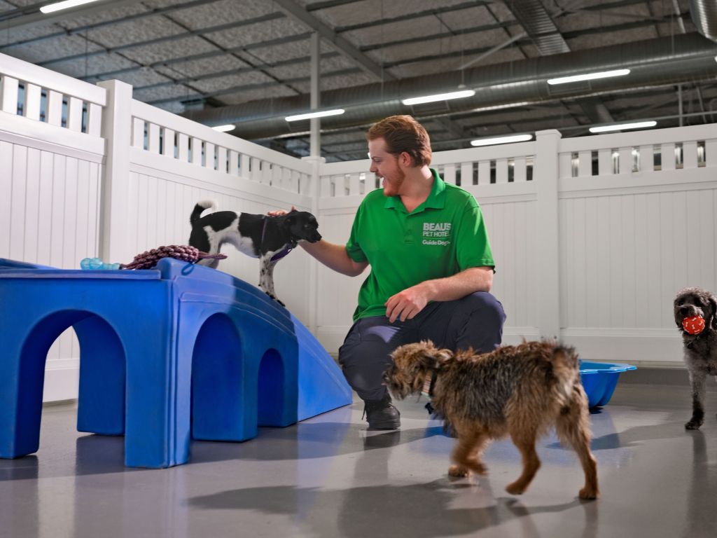 DayCare Beau's Pet Hotel