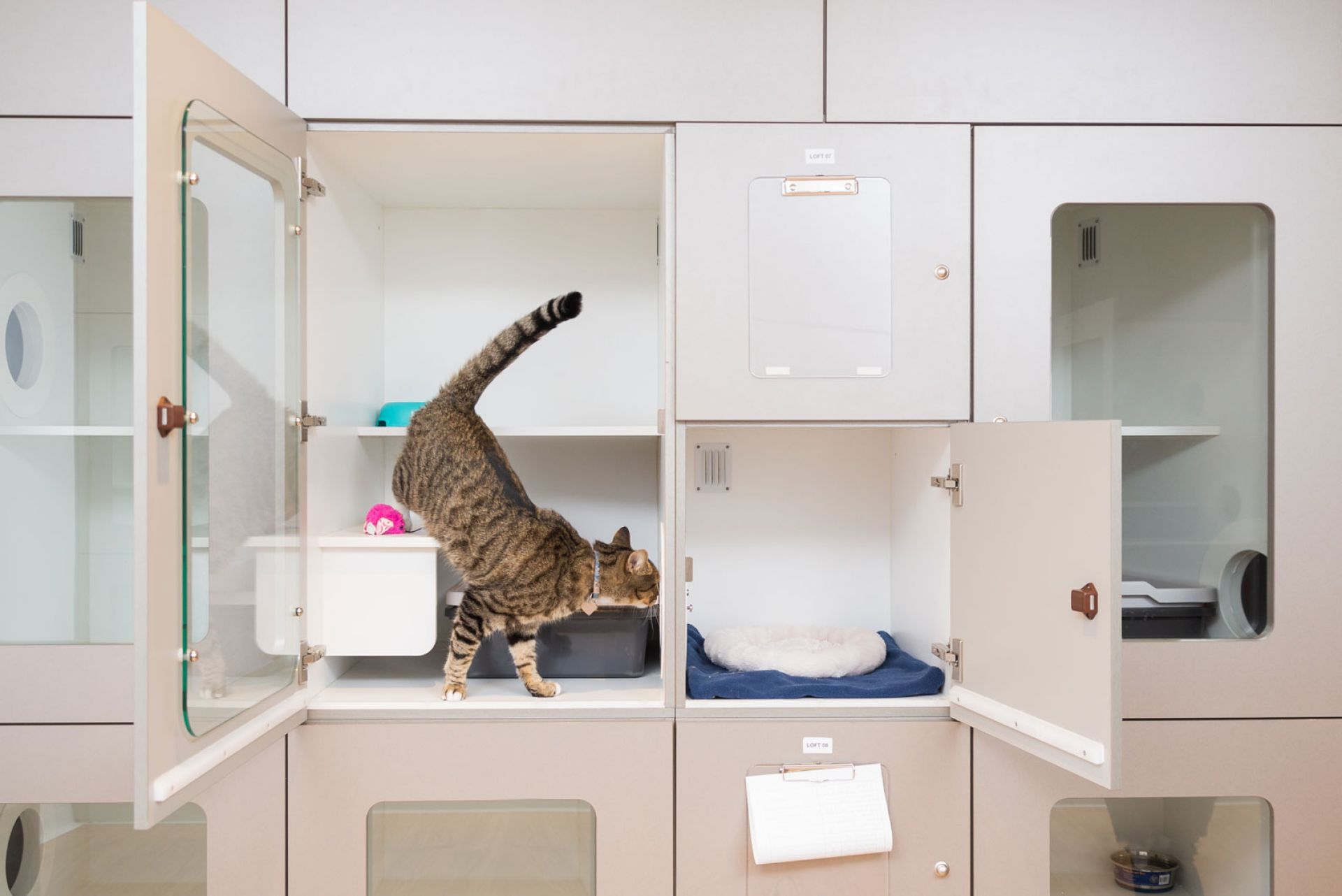 Loft Condo Beau's Pet Hotel